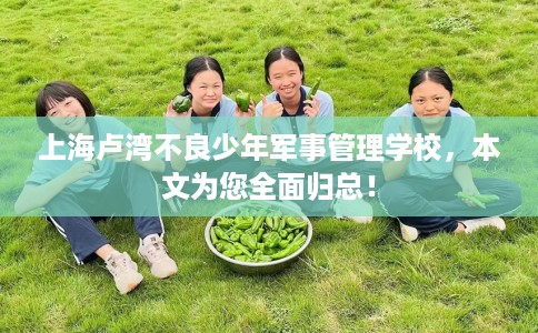 上海卢湾不良少年军事管理学校，本文为您全面归总！
