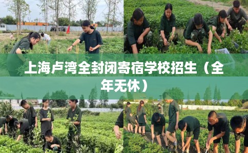 上海卢湾全封闭寄宿学校招生（全年无休）