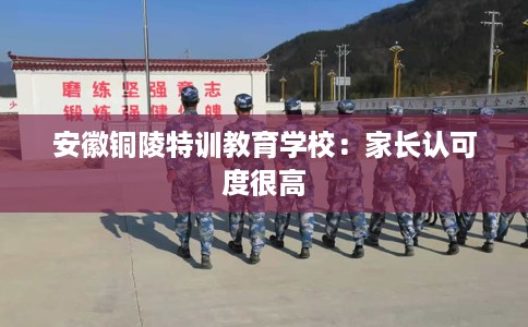 安徽铜陵特训教育学校：家长认可度很高