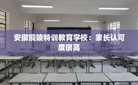 安徽铜陵特训教育学校：家长认可度很高