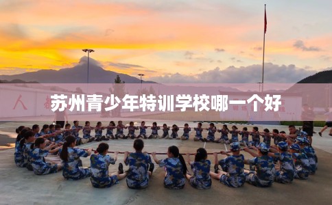 苏州青少年特训学校哪一个好