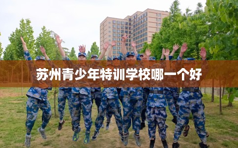 苏州青少年特训学校哪一个好
