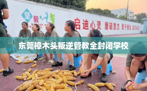 东莞樟木头叛逆管教全封闭学校