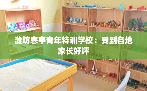 潍坊寒亭青年特训学校：受到各地家长好评