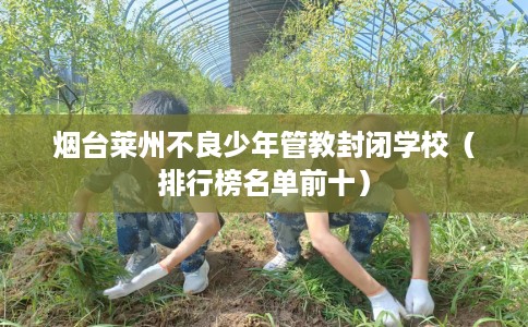 烟台莱州不良少年管教封闭学校（排行榜名单前十）