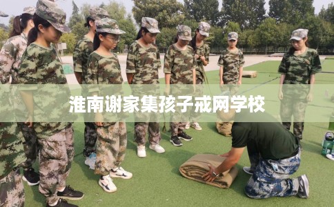淮南谢家集孩子戒网学校