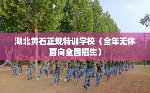 湖北黄石正规特训学校（全年无休面向全国招生）