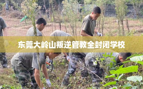 东莞大岭山叛逆管教全封闭学校
