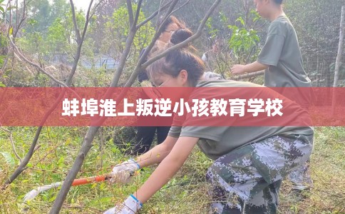 蚌埠淮上叛逆小孩教育学校