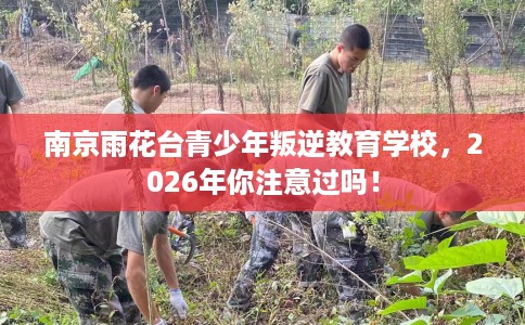 南京雨花台青少年叛逆教育学校，2026年你注意过吗！