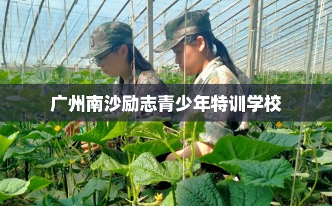 广州南沙励志青少年特训学校