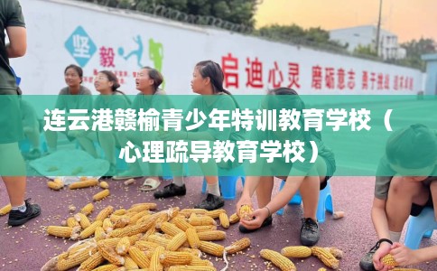 连云港赣榆青少年特训教育学校（心理疏导教育学校）