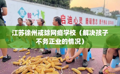 江苏徐州戒除网瘾学校（解决孩子不务正业的情况）