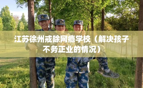 江苏徐州戒除网瘾学校（解决孩子不务正业的情况）