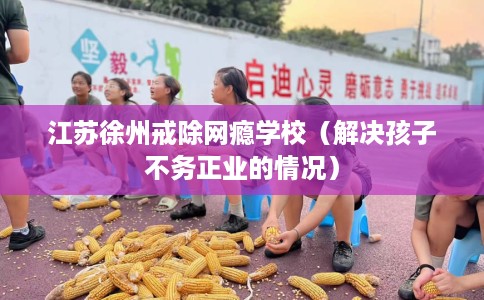 江苏徐州戒除网瘾学校（解决孩子不务正业的情况）