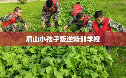 眉山小孩子叛逆特训学校