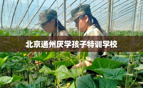 北京通州厌学孩子特训学校