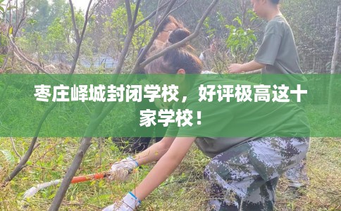 枣庄峄城封闭学校，好评极高这十家学校！