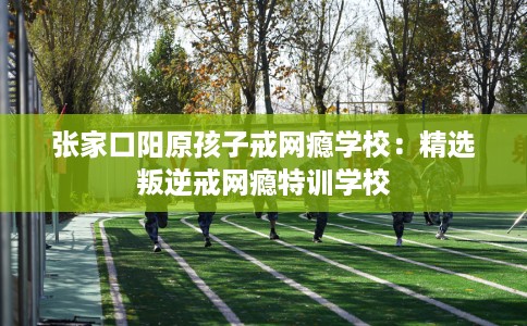 张家口阳原孩子戒网瘾学校：精选叛逆戒网瘾特训学校