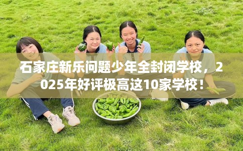 石家庄新乐问题少年全封闭学校，2025年好评极高这10家学校！