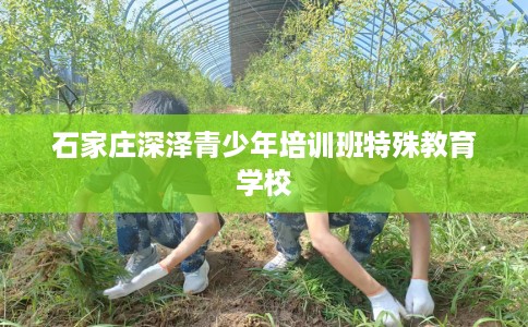 石家庄深泽青少年培训班特殊教育学校