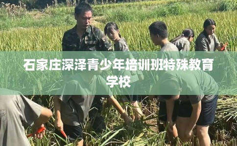 石家庄深泽青少年培训班特殊教育学校