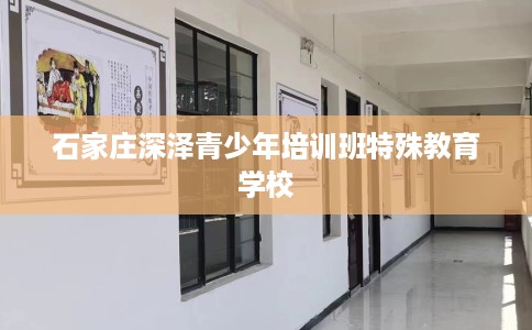 石家庄深泽青少年培训班特殊教育学校