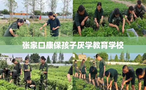 张家口康保孩子厌学教育学校