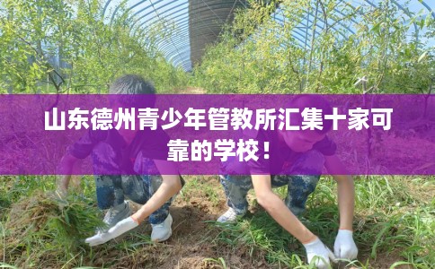 山东德州青少年管教所汇集十家可靠的学校！