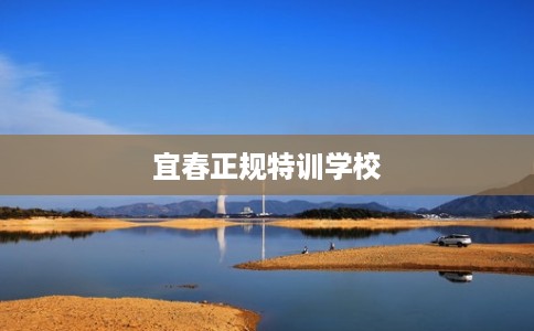 宜春正规特训学校