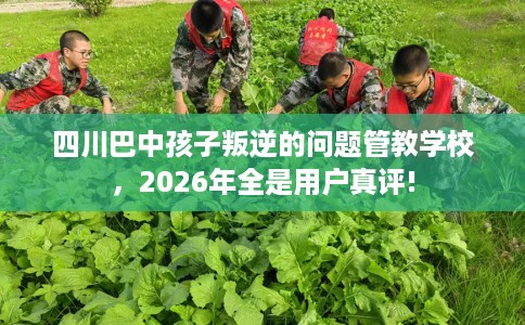 四川巴中孩子叛逆的问题管教学校，2026年全是用户真评!