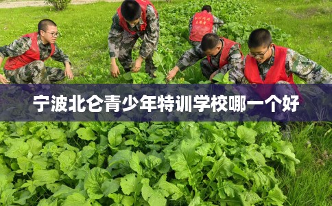 宁波北仑青少年特训学校哪一个好