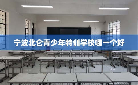 宁波北仑青少年特训学校哪一个好