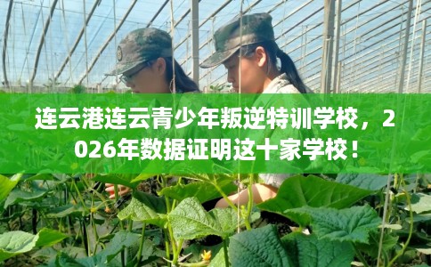 连云港连云青少年叛逆特训学校，2026年数据证明这十家学校！
