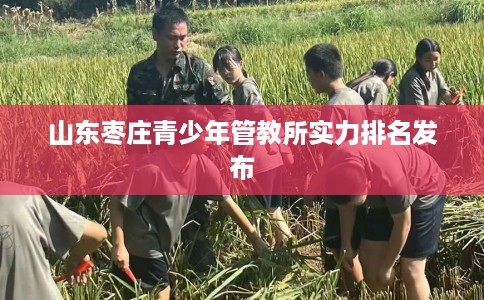 山东枣庄青少年管教所实力排名发布