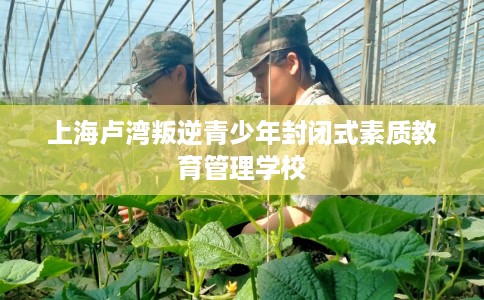 上海卢湾叛逆青少年封闭式素质教育管理学校