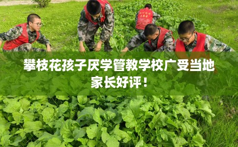 攀枝花孩子厌学管教学校广受当地家长好评！