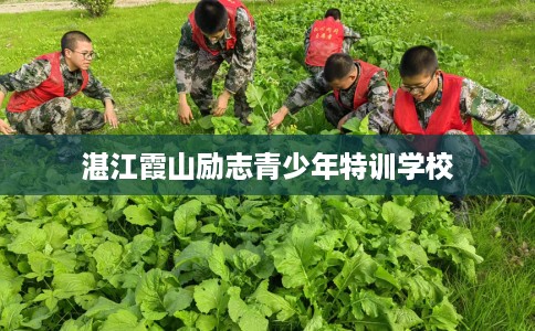 湛江霞山励志青少年特训学校