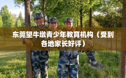 东莞望牛墩青少年教育机构（受到各地家长好评）