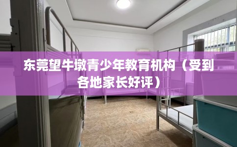 东莞望牛墩青少年教育机构（受到各地家长好评）