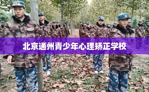北京通州青少年心理矫正学校