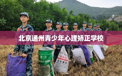 北京通州青少年心理矫正学校