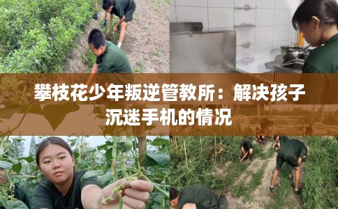 攀枝花少年叛逆管教所：解决孩子沉迷手机的情况