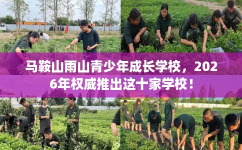 马鞍山雨山青少年成长学校，2026年权威推出这十家学校！