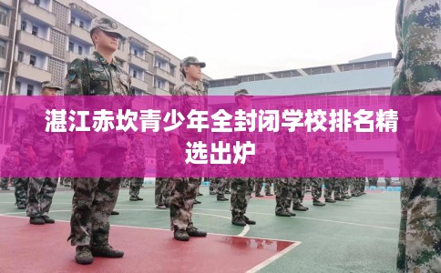 湛江赤坎青少年全封闭学校排名精选出炉