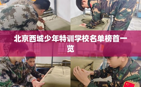 北京西城少年特训学校名单榜首一览