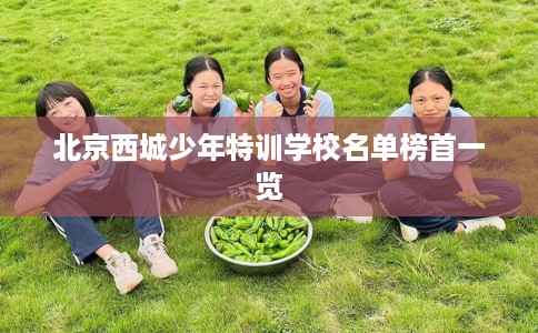 北京西城少年特训学校名单榜首一览