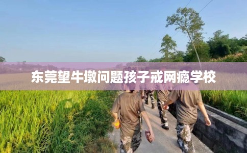 东莞望牛墩问题孩子戒网瘾学校