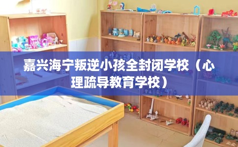 嘉兴海宁叛逆小孩全封闭学校（心理疏导教育学校）
