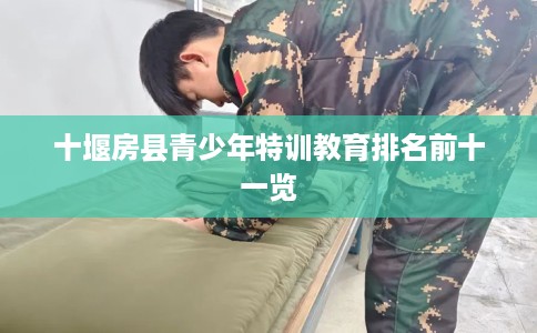 十堰房县青少年特训教育排名前十一览